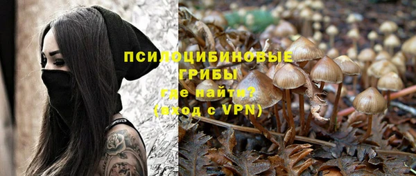 эйфоретик Балахна